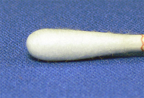 �X�p�C�������H��[